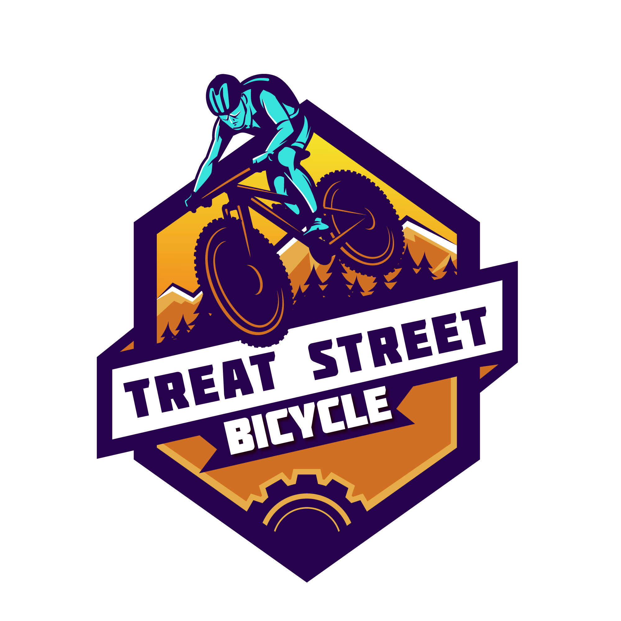 Treat Street Bicycle
